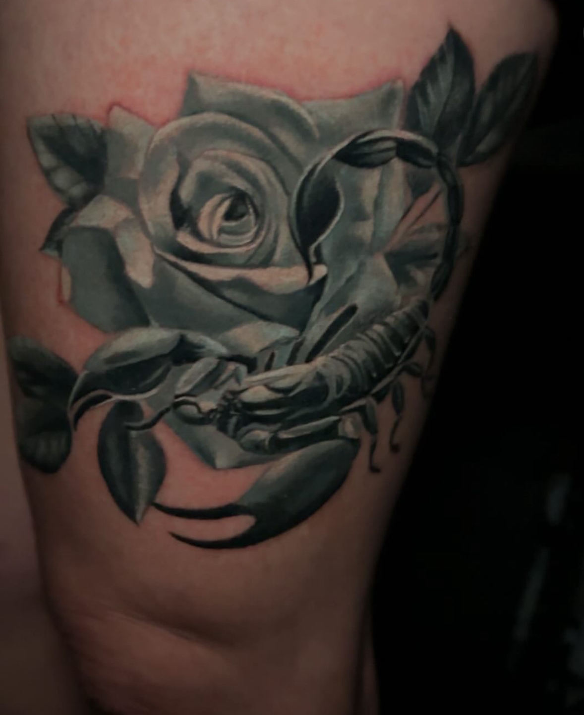 Black and gray tattoo of a rose intertwined with a scorpion on skin.