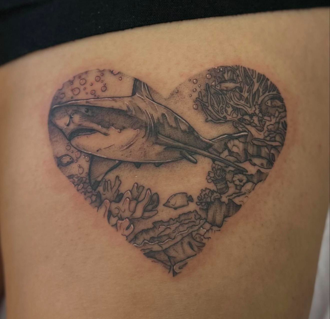 Tattoo of a shark swimming underwater inside a heart fine line