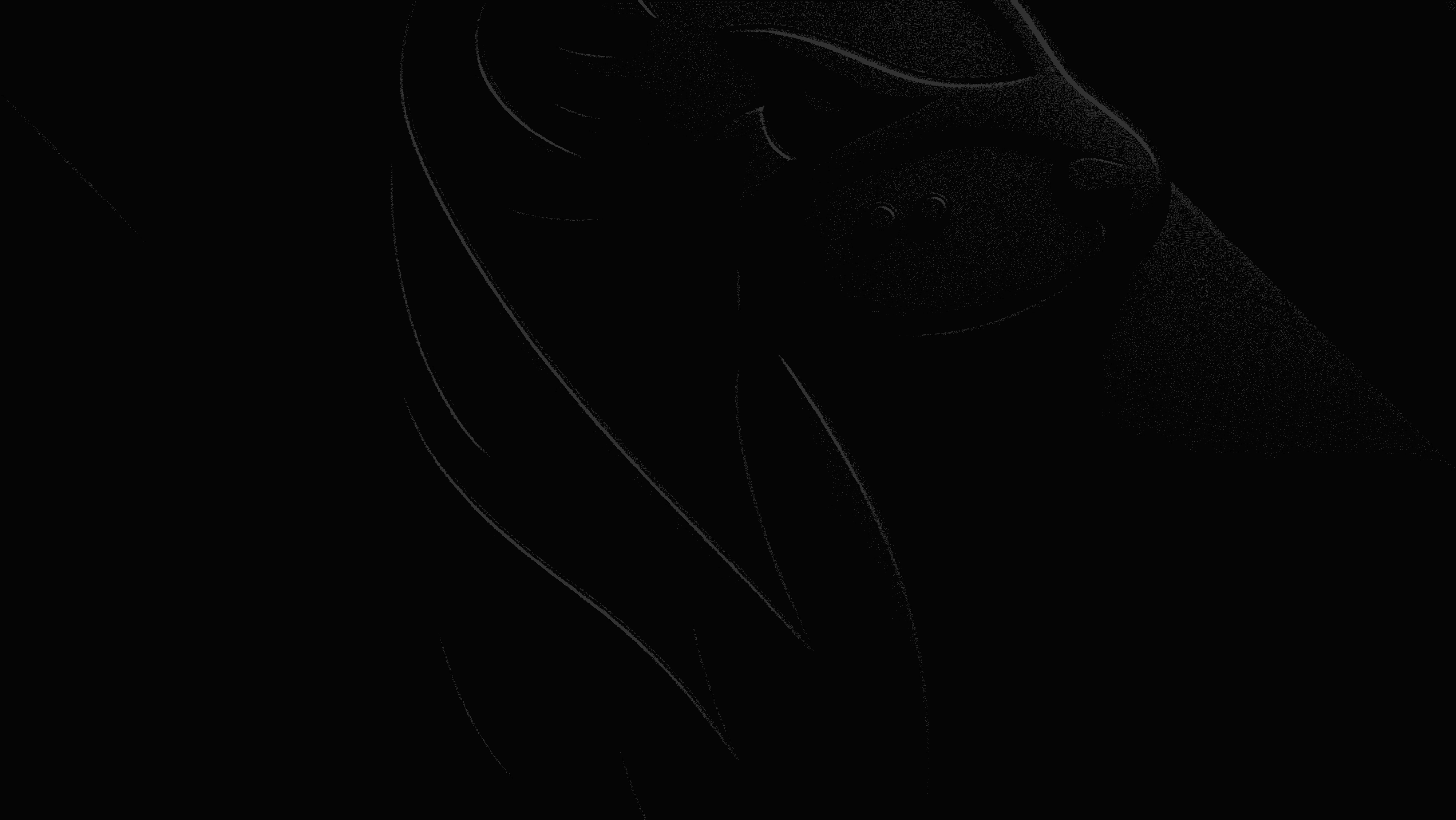 Close-up of a lion's face and mane in profile against a black background.