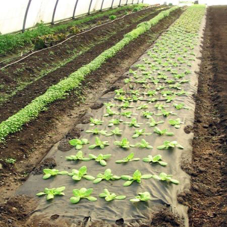 EasyMix 40 – EasyMix