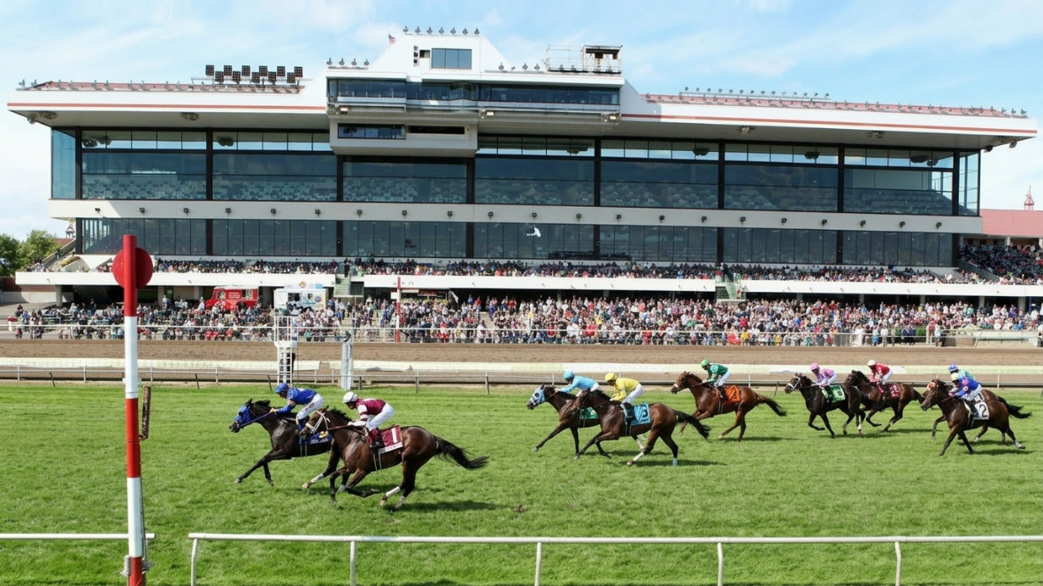 Canterbury Park Turf Enhancement