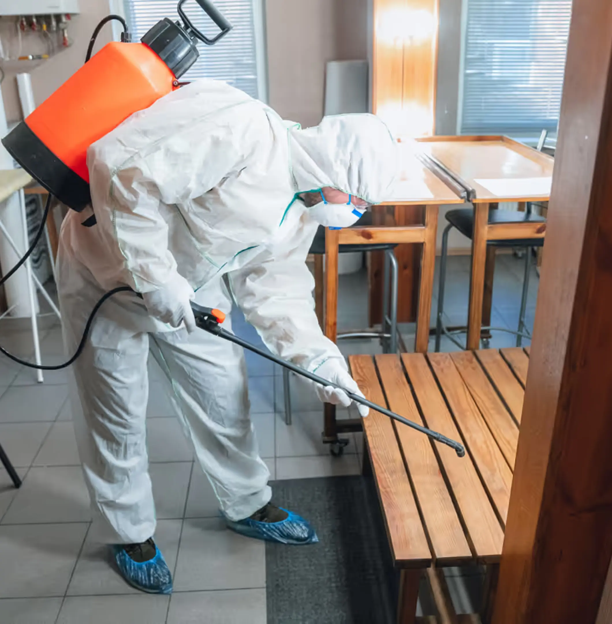 Man Spraying Medicine for killing insects