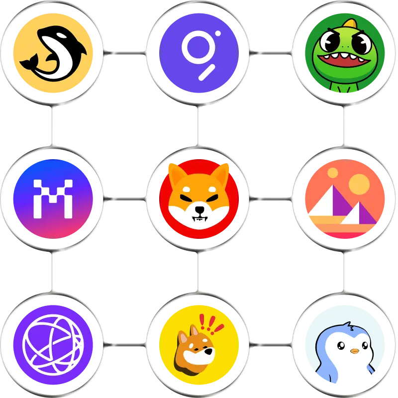 Grid of nine connected circular icons showing logos of popular crypto tokens including Orca, The Graph, Axie Infinity, ImmutableX, Shiba Inu, Decentraland, Bitkub Chain, Wanjiku Inu, and Rare Penguin.