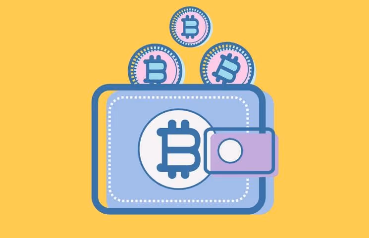Your 2023 Guide to Cryptocurrency Wallets: Beginners to Experts