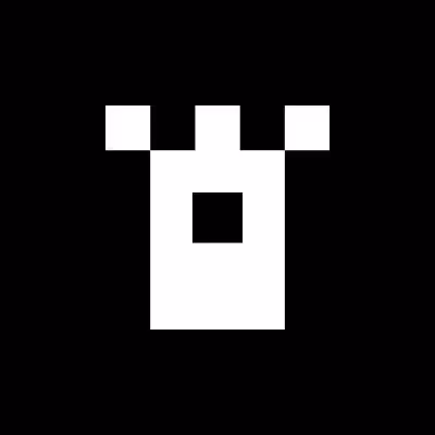 Rook