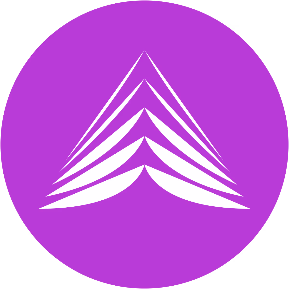 Taiga Protocol
