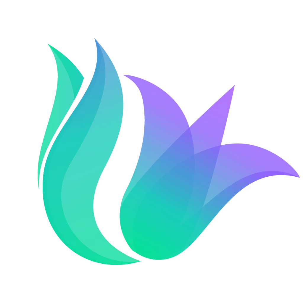 Solily Protocol