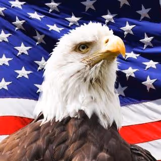 Murica
