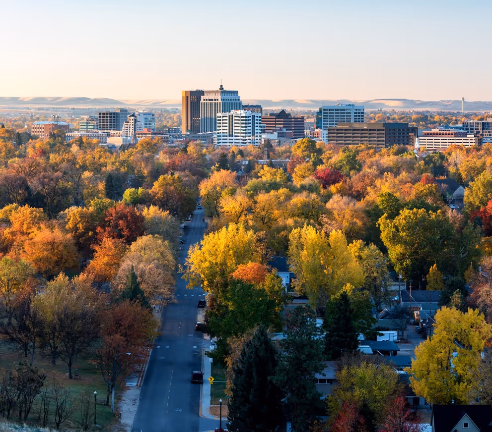 City skyline behind a neighborhood with streets lined by trees showing vibrant autumn colors.