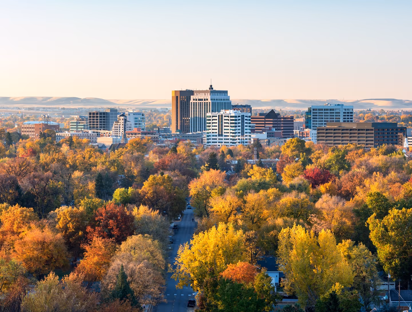 Aerial view of a city skyline behind a tree-lined street with autumn foliage in vibrant reds, oranges, and yellows.