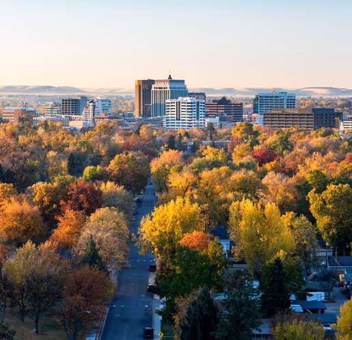 City skyline in the distance with a main road leading through a neighborhood full of colorful autumn trees.