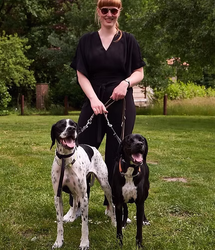 Hannefrone wandelt met twee grote honden aan de leiband in een park.