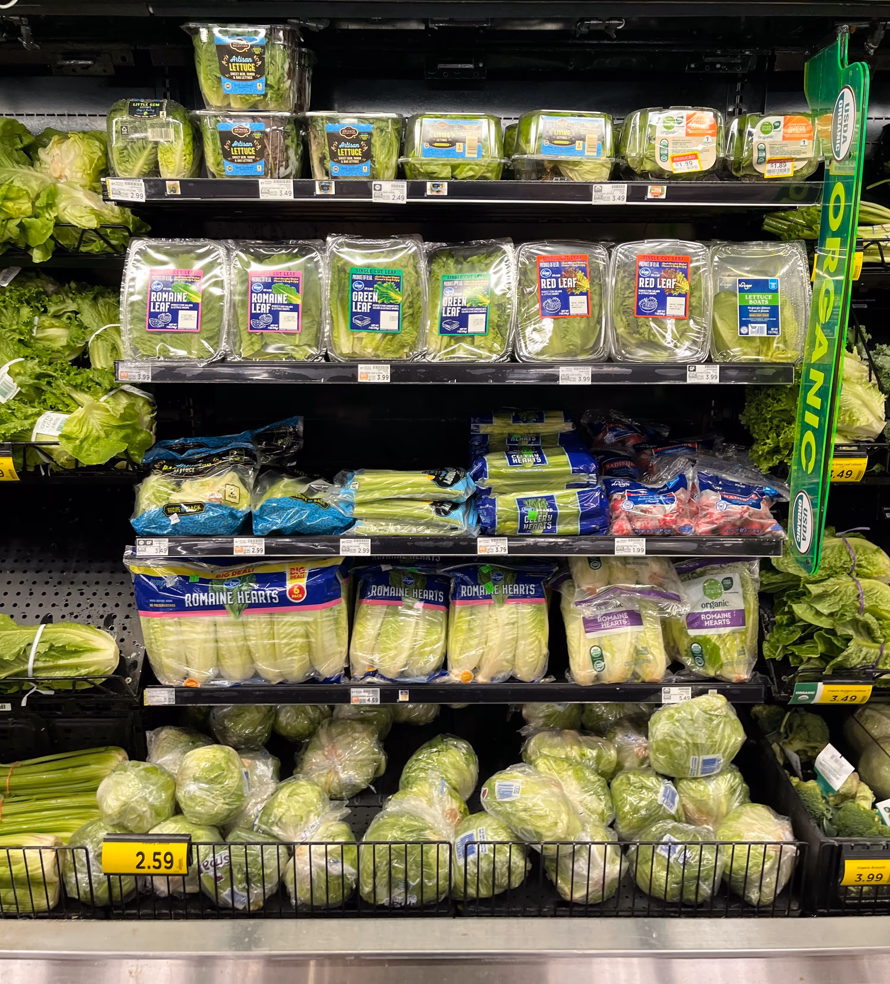 Supermarket display of various packaged and loose green leafy vegetables including romaine hearts, celery, and different lettuces labeled organic.