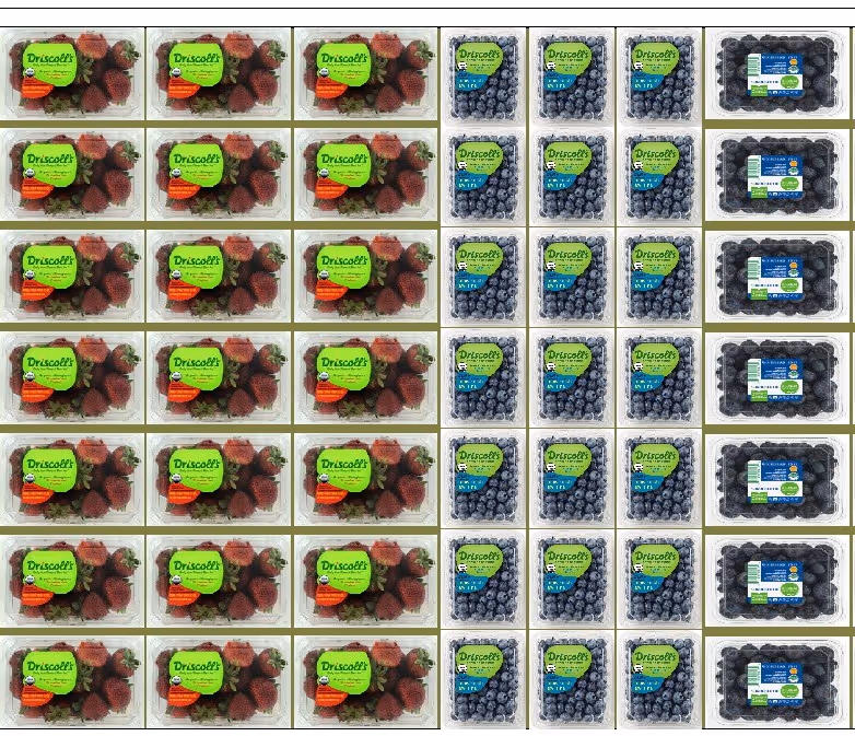 Supermarket shelves stocked with a variety of packaged cookies and snack bars arranged in multiple horizontal rows, featuring brands like Famous Amos, Chips Ahoy, Keebler, and others.