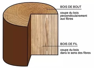 Diagramme montrant une coupe transversale d'une bûche avec la différence entre le bois de bout et le bois de fil selon l'orientation des fibres.