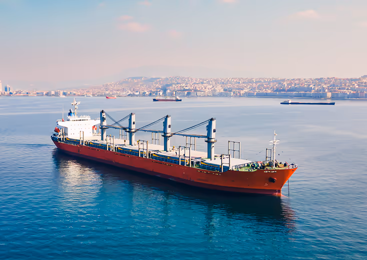Large red cargo ship sailing in calm blue water near a coastal city, with cranes and containers visible on deck and several other vessels in the distance under a clear sky with soft sunlight.