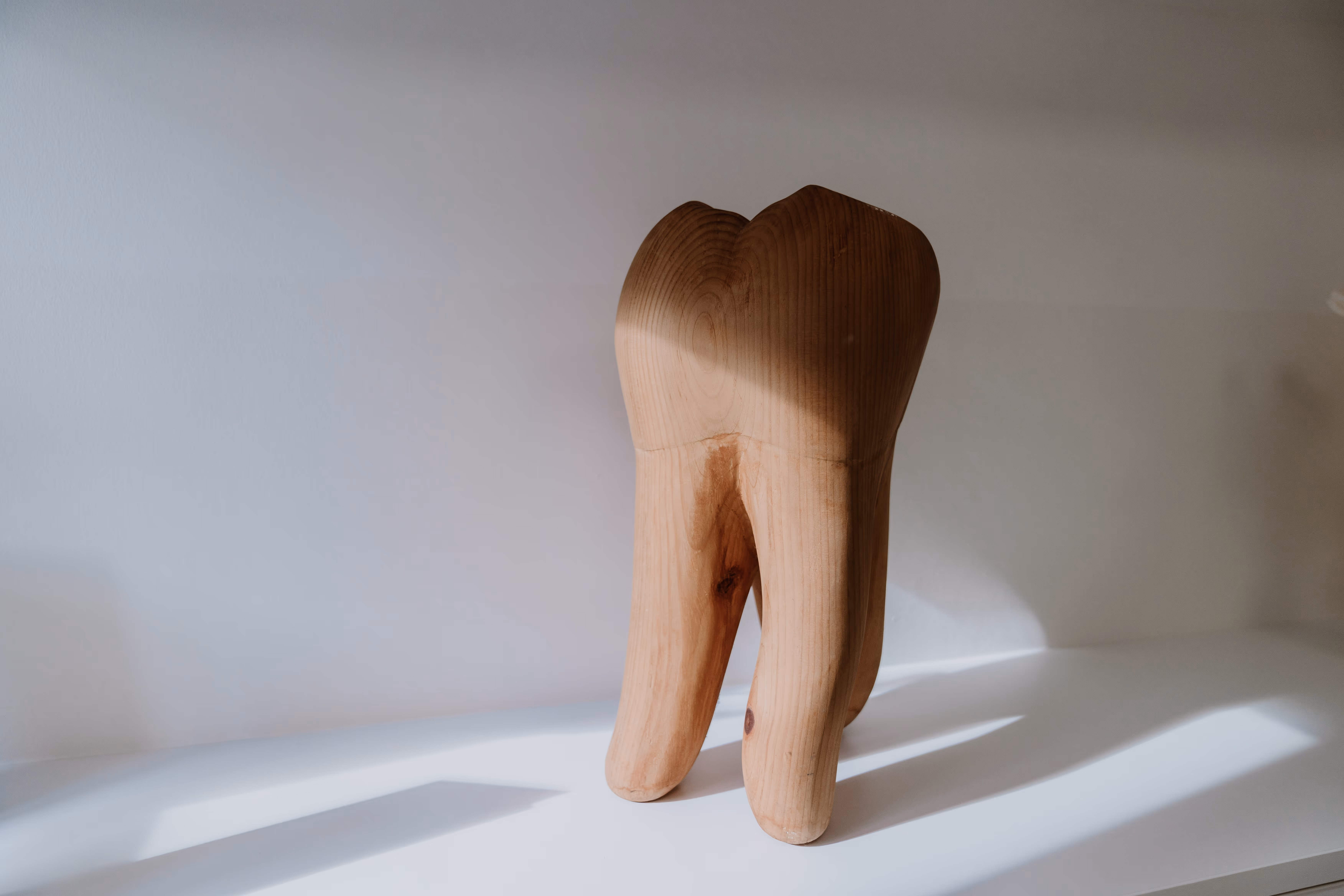 Gehobelter Holzzahn mit sichtbarer Maserung auf weißem Untergrund vor heller Wand.