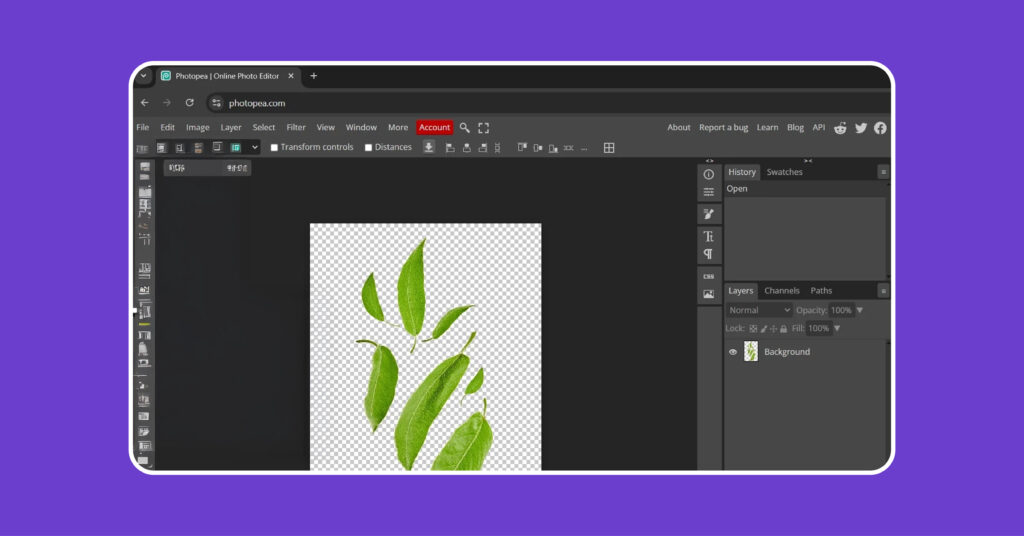 transparent background in photopea 