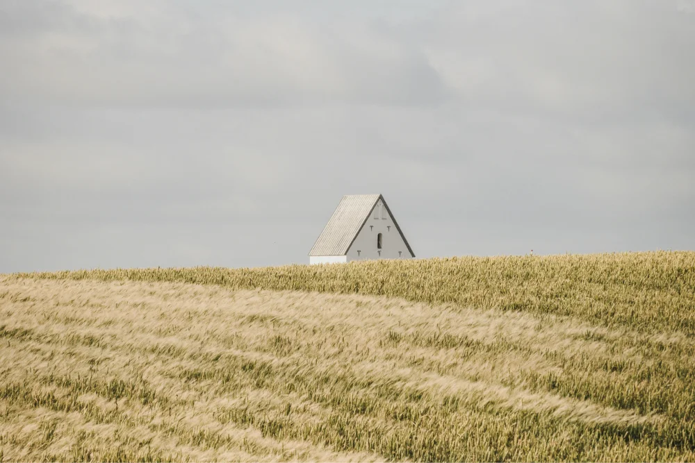 Small white A-frame house partially hidden behind a golden wheat field under a cloudy sky.