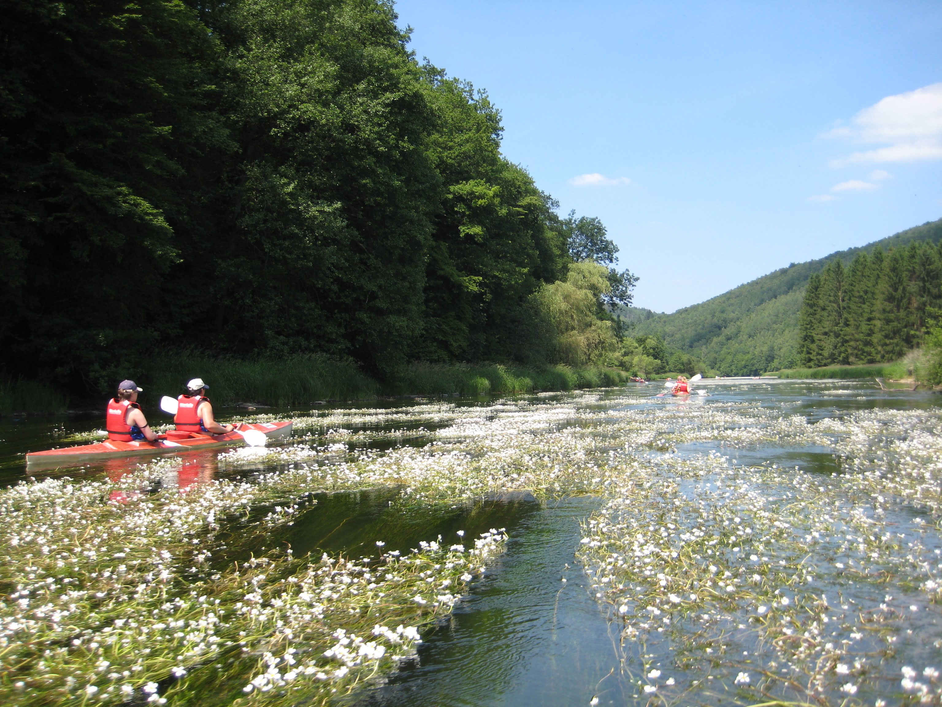 Horizont vzw keert terug naar De Wroeter: Samen maken we vakantie toegankelijk voor iedereen