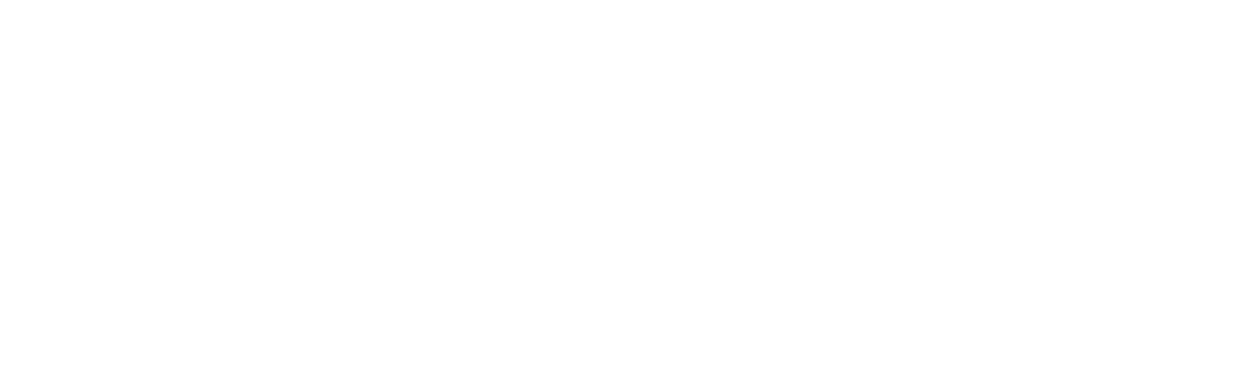 Morocco-Danish Business council logo