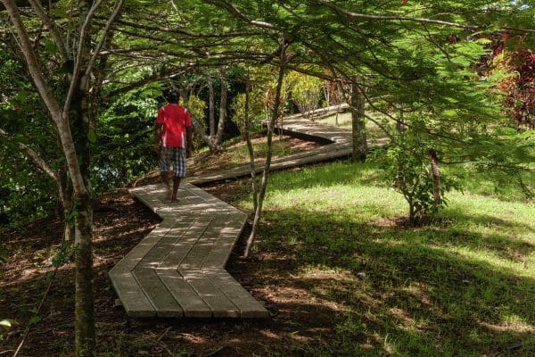 arquitectos en Panamá y misión para la sosiedad