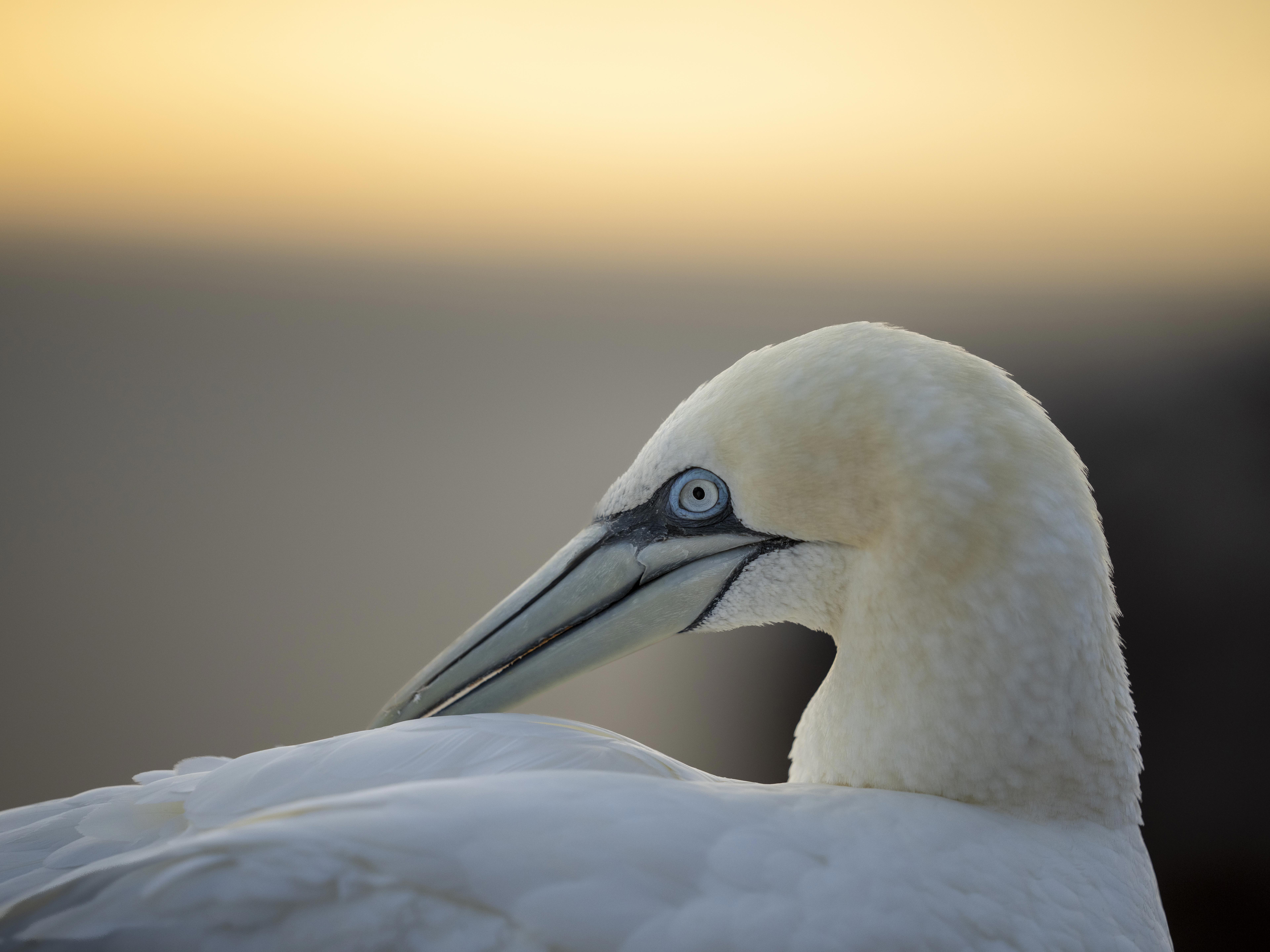 [background image] of coastal cliffs for a maritime service