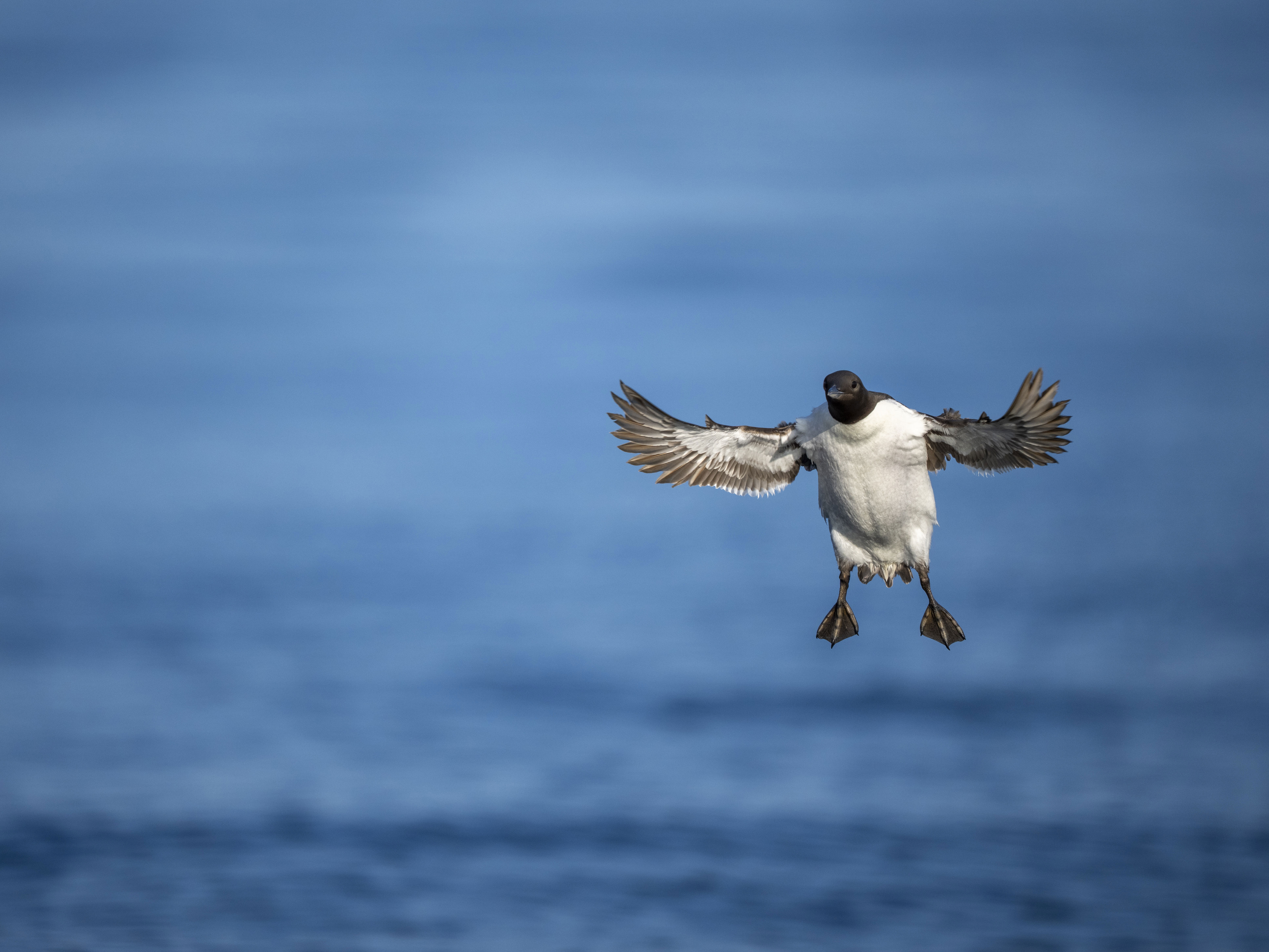 image of colleagues in a meeting room setting for a b2b saas