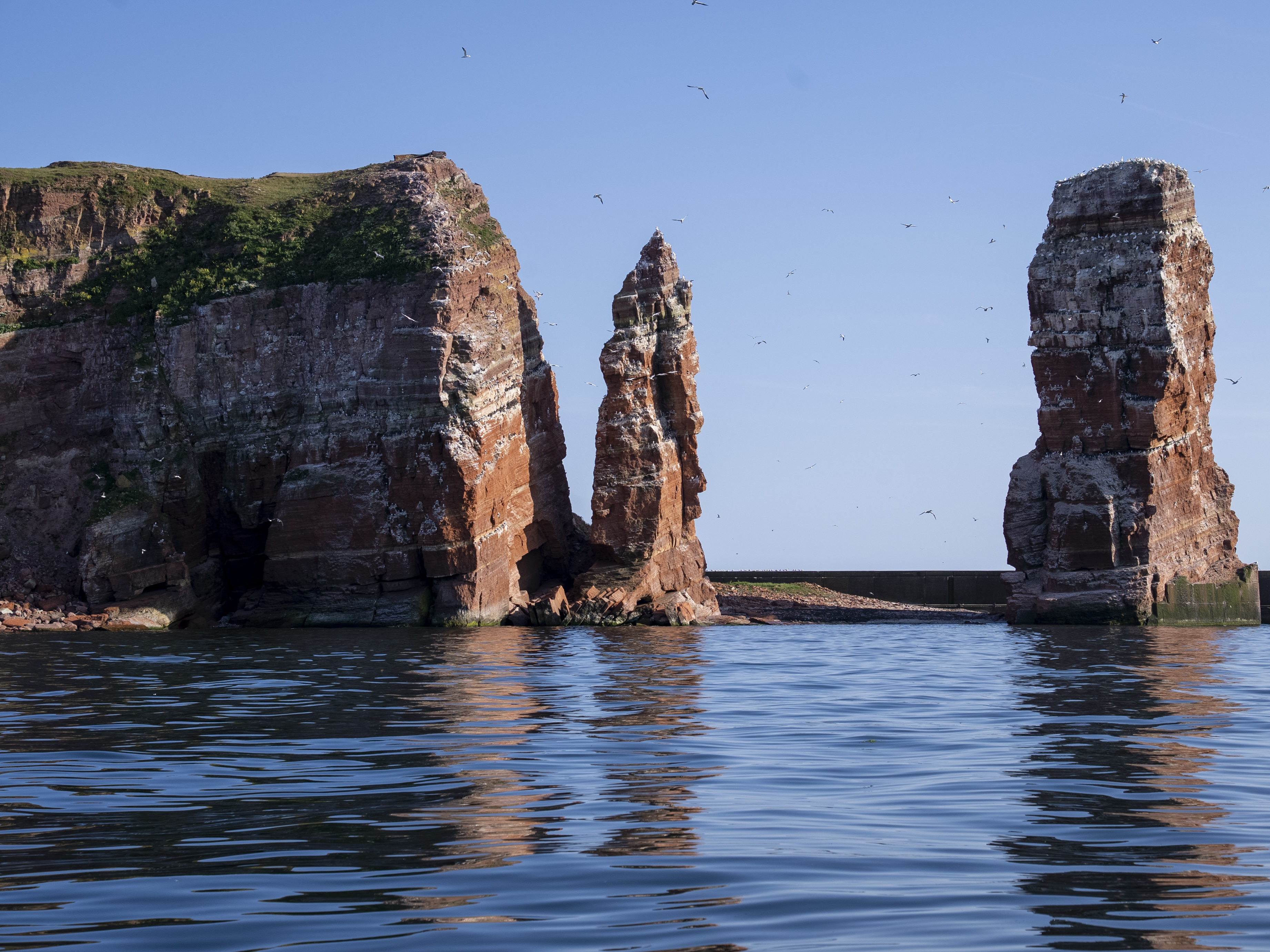 [background image] of coastal cliffs for a maritime service