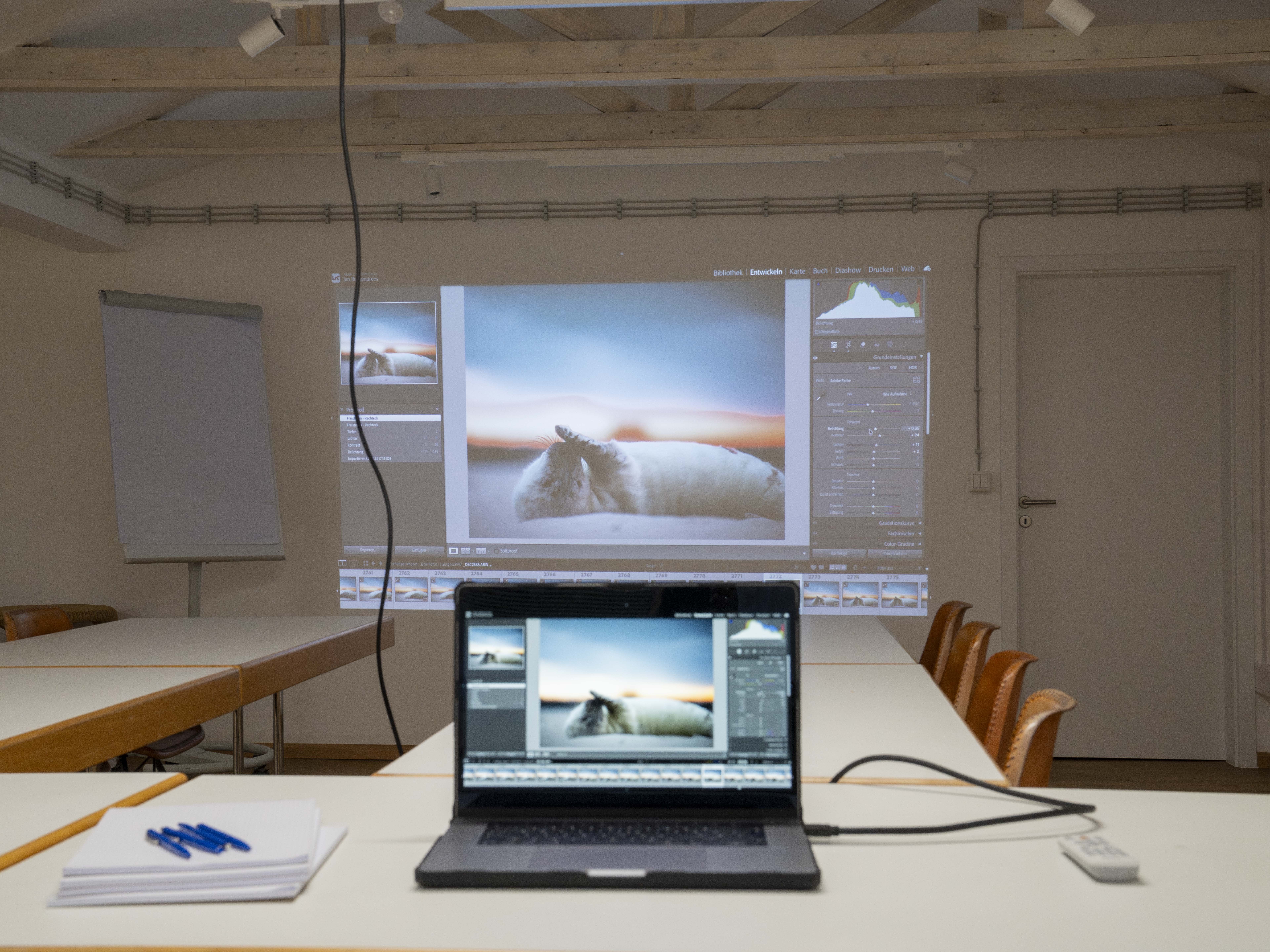 image of conservation team in action