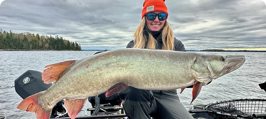 Angler holding a large musky in a boat on Eagle Lake, Ontario