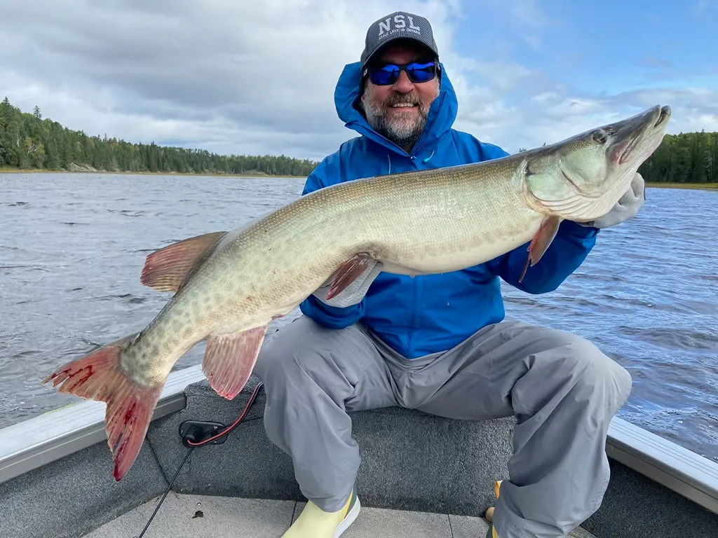Angler in a North Shore Lodge cap holding a large musky