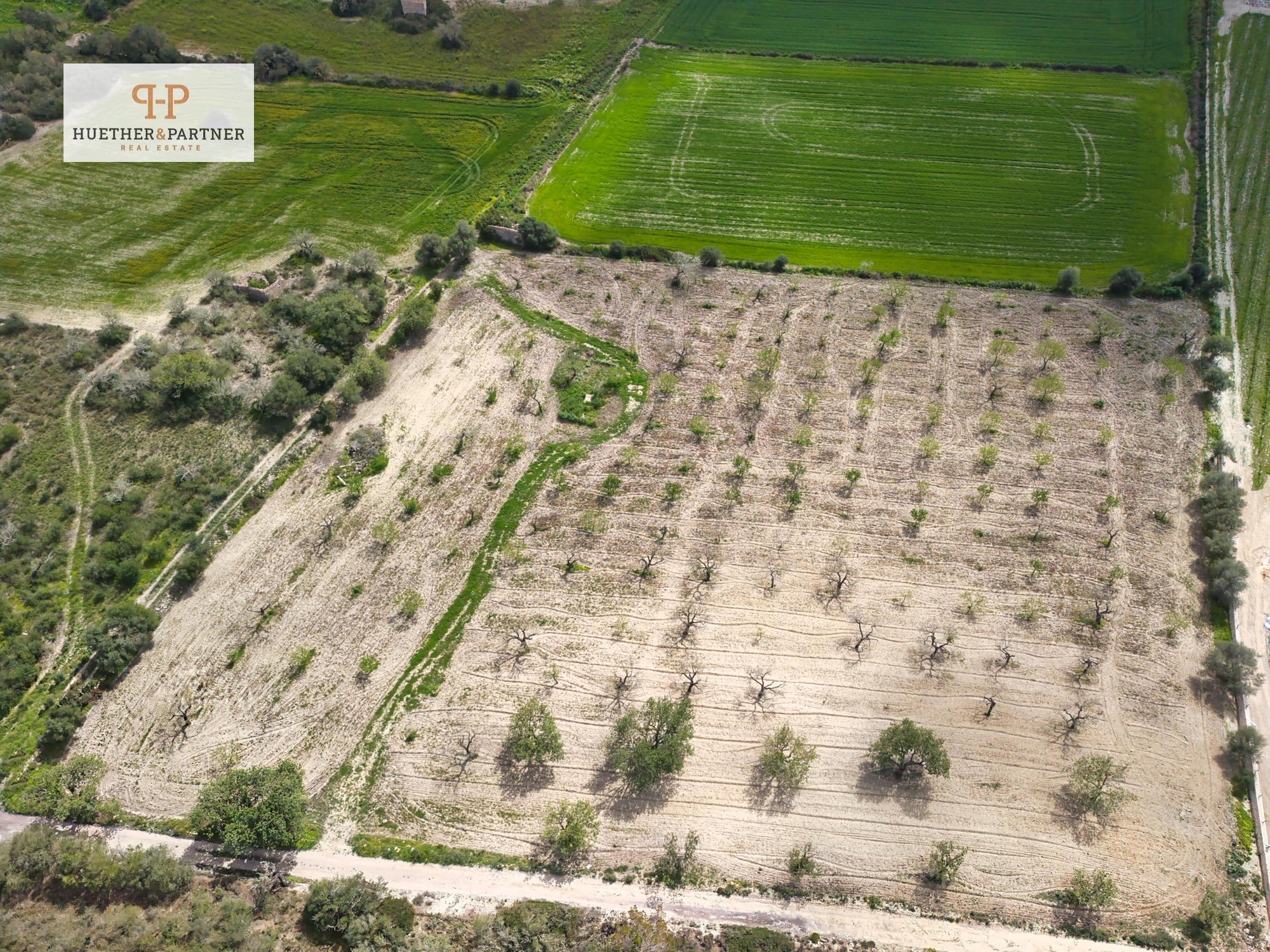 Sehr ruhig gelegenes Grundstück mit wunderbarem Blick auf das ländliche Mallorca bebaubar mit 450 m2