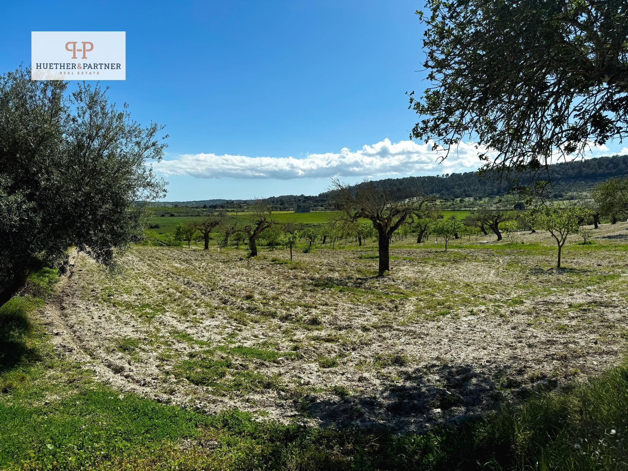 Sehr ruhig gelegenes Grundstück mit wunderbarem Blick auf das ländliche Mallorca bebaubar mit 450 m2