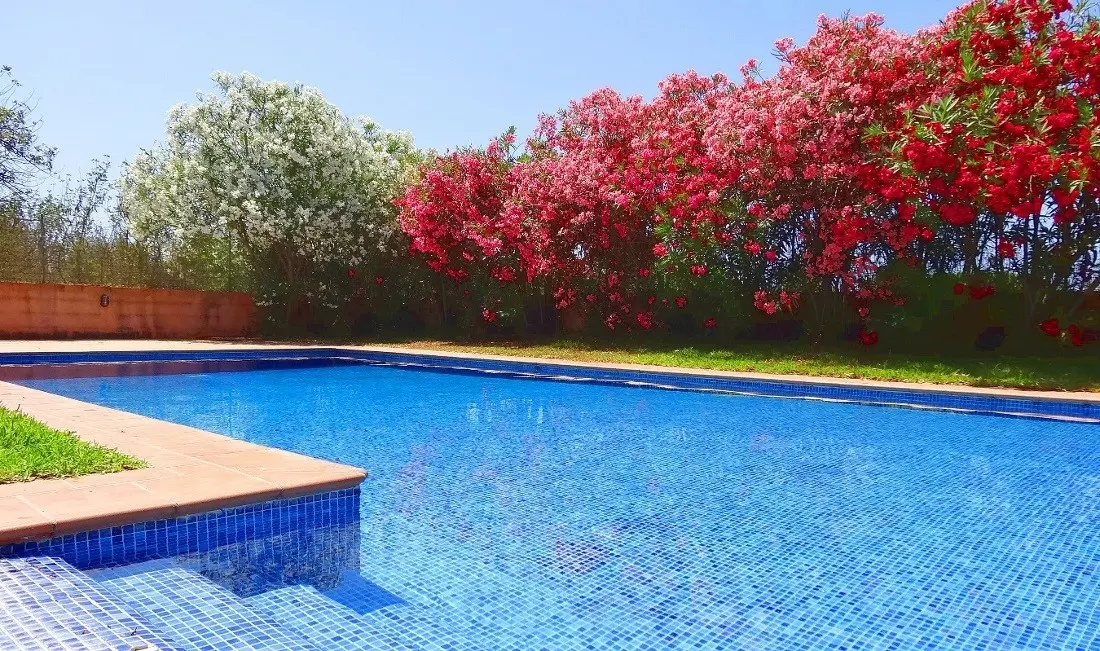 finca-kaufen-Felanitx-mallorca-huether-partner-20-165-bild-8