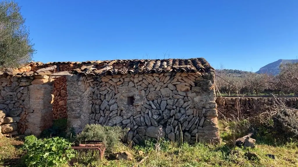 grundstueck-kaufen-Colonia de Sant Pere,-mallorca-huether-partner-23-012-bild-7