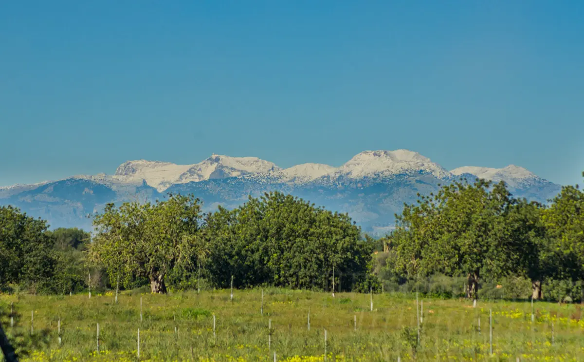 Romantisch und verträumt gelegenes Grundstück mit Panoramablick und Platz für eigene Ideen Manacor Mallorca