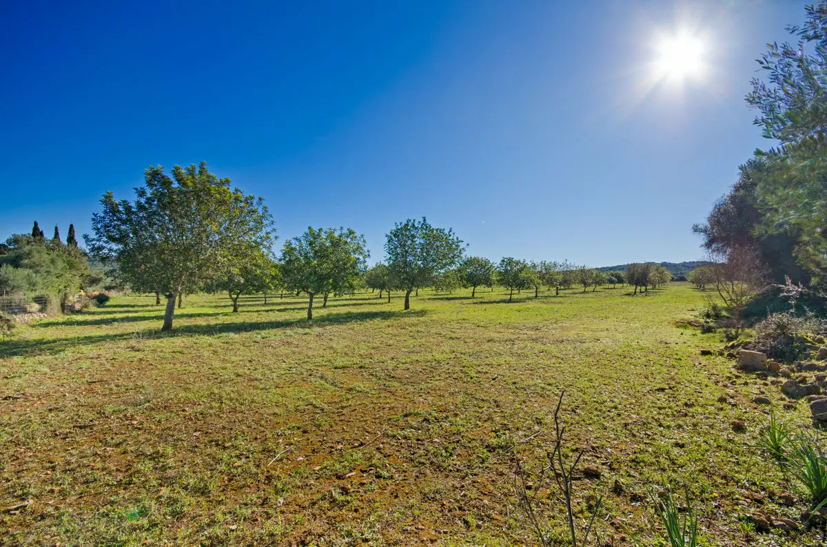 Romantisch und verträumt gelegenes Grundstück mit Panoramablick und Platz für eigene Ideen Manacor Mallorca