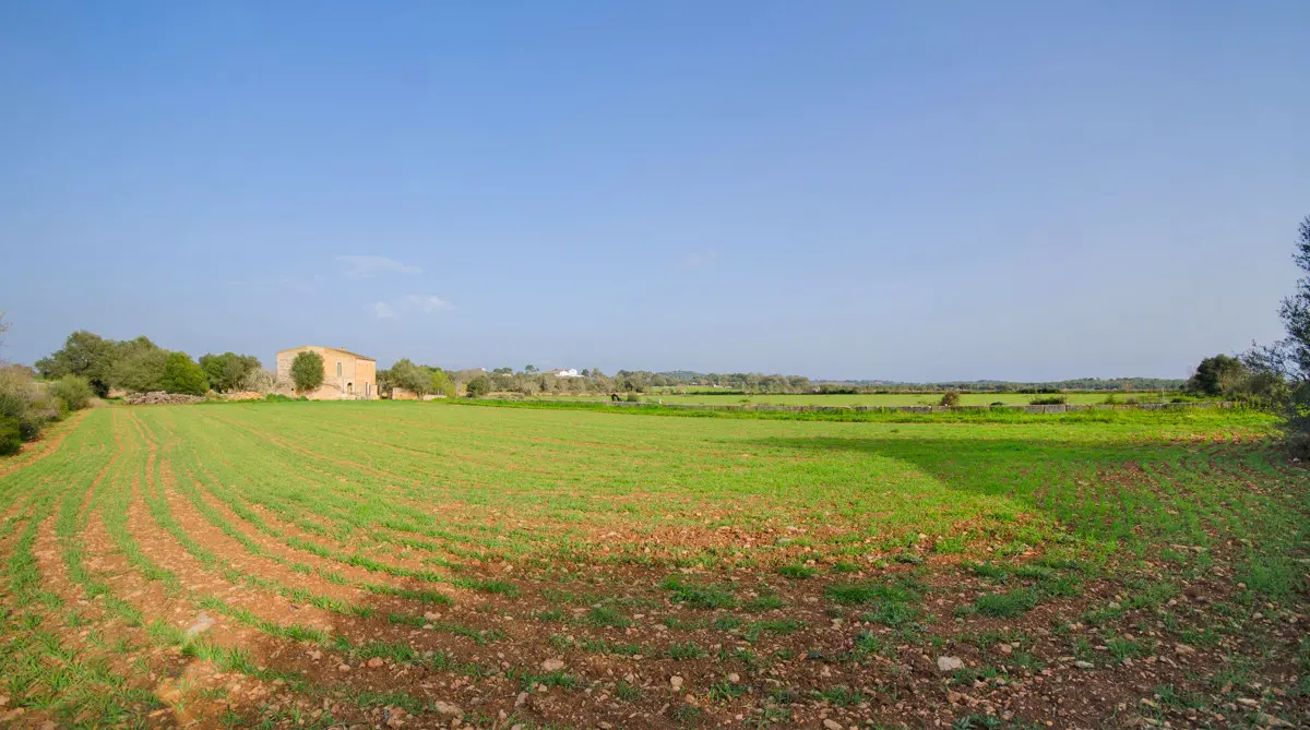 Doppel-Grundstück (über 30.000 m2) mit Finca und Projekt