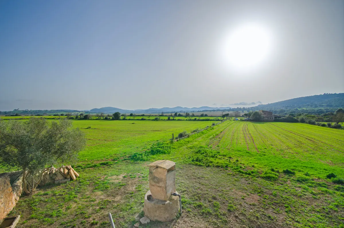 Doppel-Grundstück (über 30.000 m2) mit Finca und Projekt