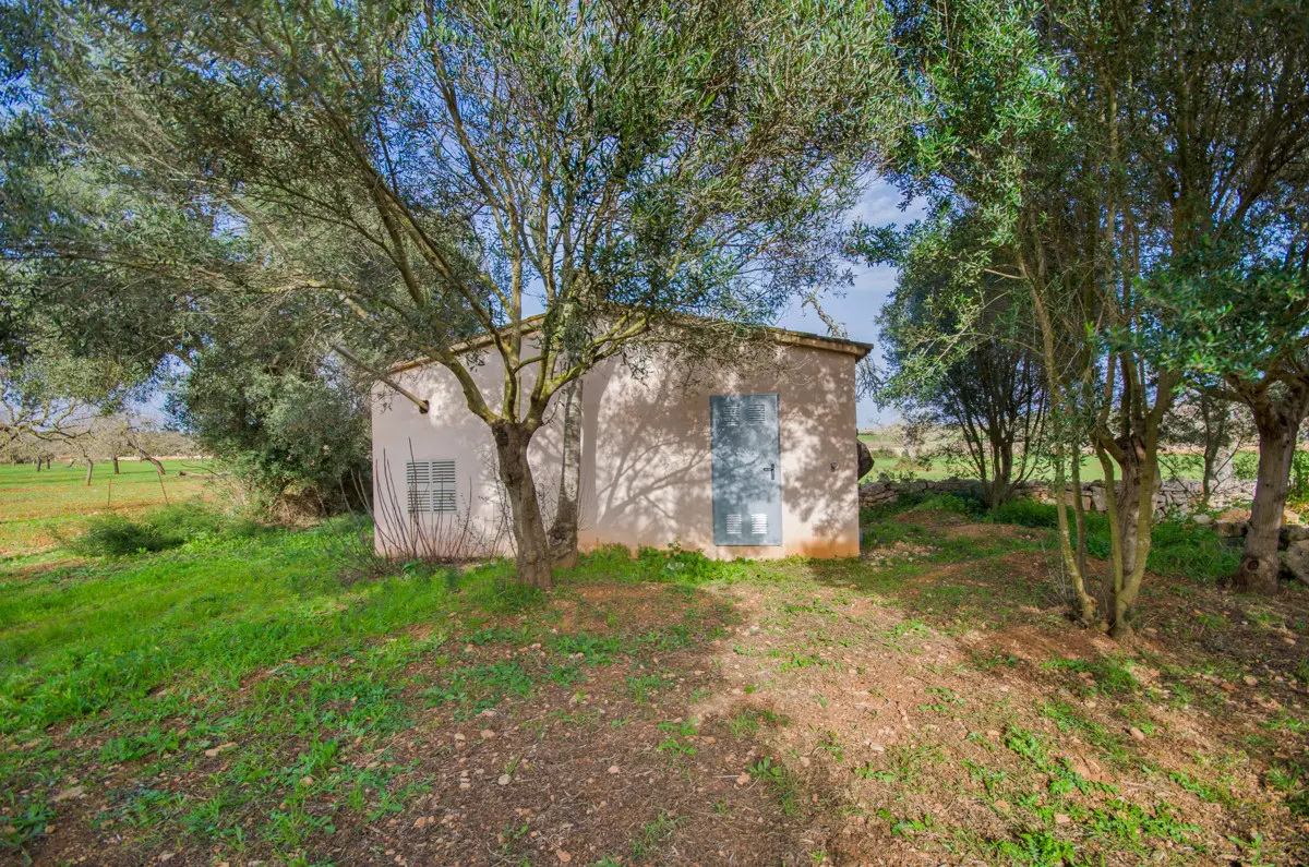 grundstueck-kaufen-Son Negre-mallorca-huether-partner-23-091-bild-9