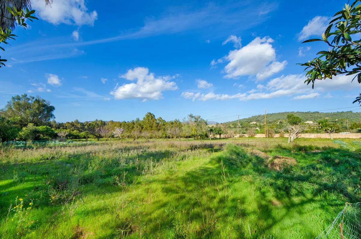 haus-kaufen-Manacor-mallorca-huether-partner-24-016-bild-11