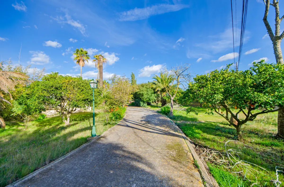 haus-kaufen-Manacor-mallorca-huether-partner-24-016-bild-15