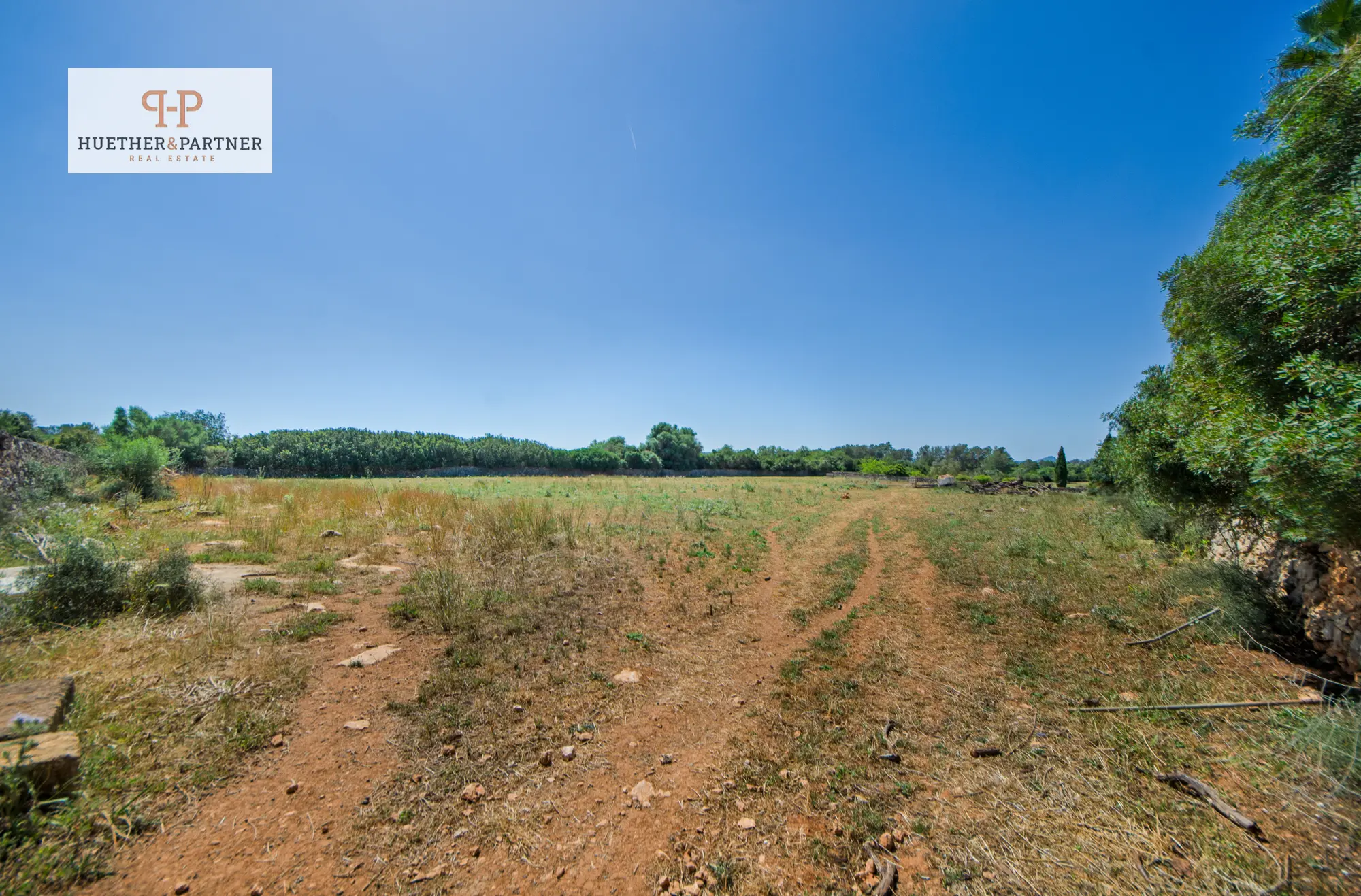 grundstueck-kaufen-Santa Margalida-mallorca-huether-partner-25-084-bild-11