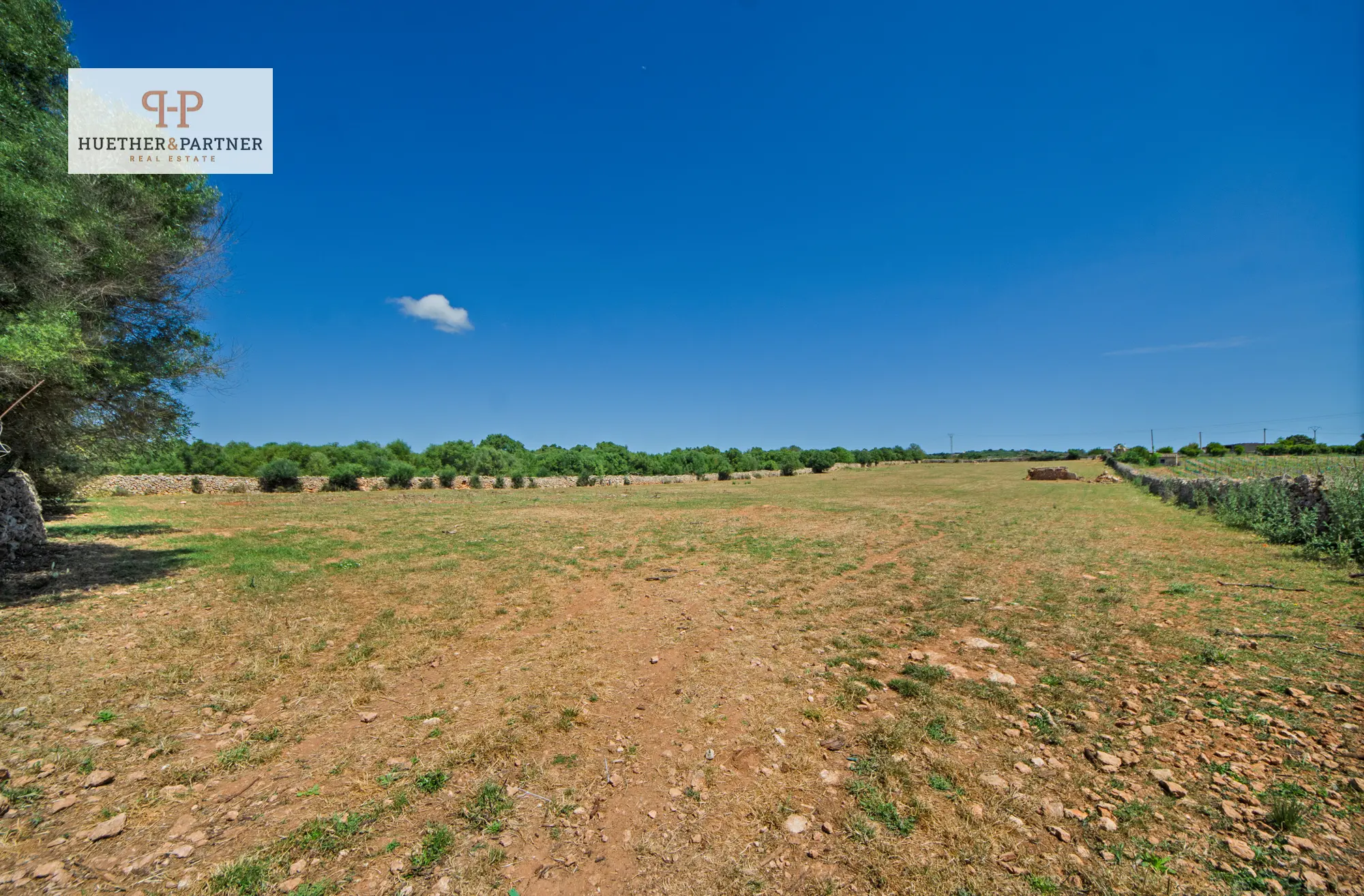 grundstueck-kaufen-Santa Margalida-mallorca-huether-partner-25-084-bild-13