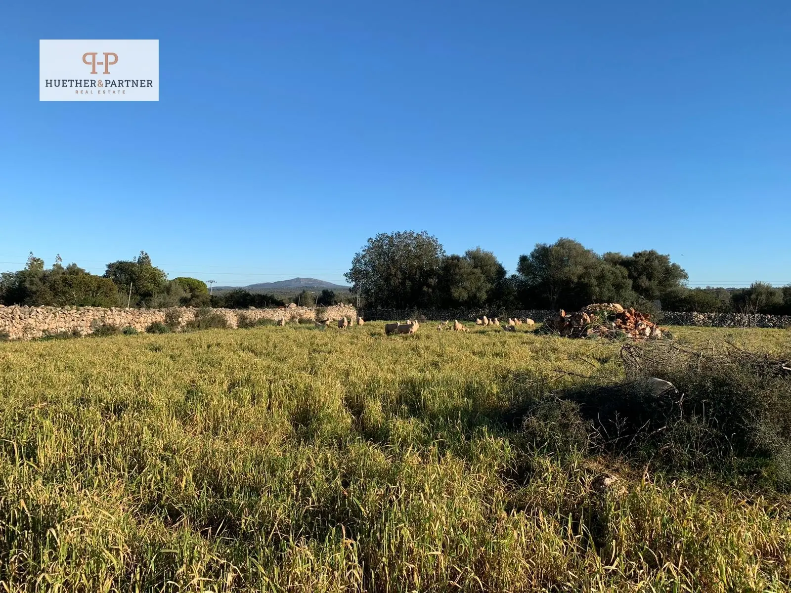 grundstueck-kaufen-Santa Margalida-mallorca-huether-partner-25-084-bild-6