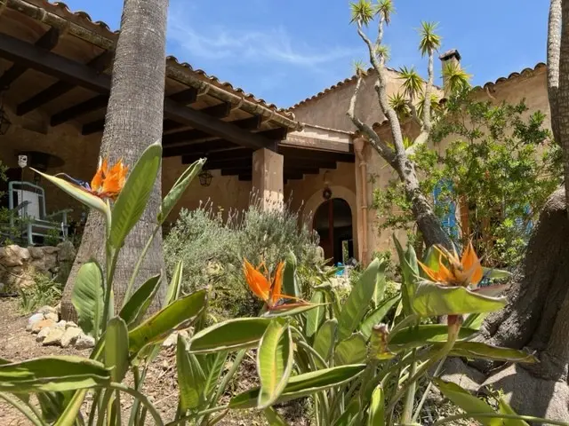 finca-kaufen-Porreres-mallorca-huether-partner-MH000141-bild-14