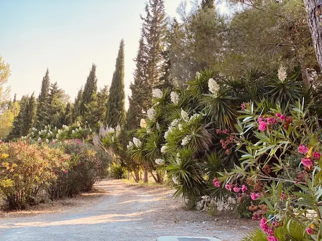 finca-kaufen-Porreres-mallorca-huether-partner-MH000141-bild-13