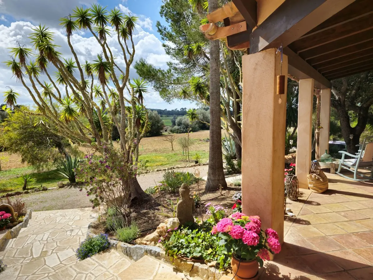 finca-kaufen-Porreres-mallorca-huether-partner-MH000141-bild-9