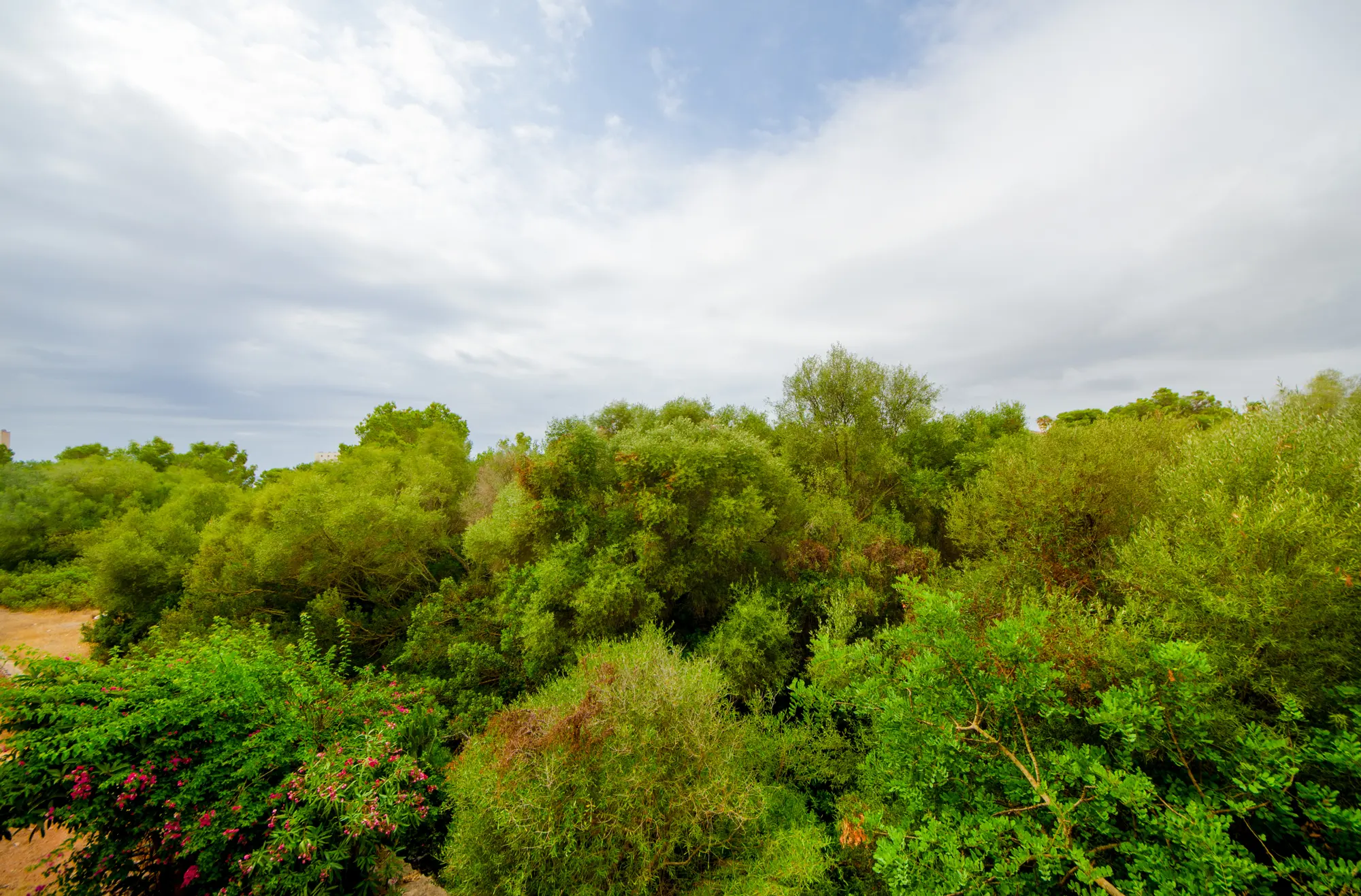 wohnung-kaufen-Cales de Mallorca-mallorca-huether-partner-25-137-bild-6